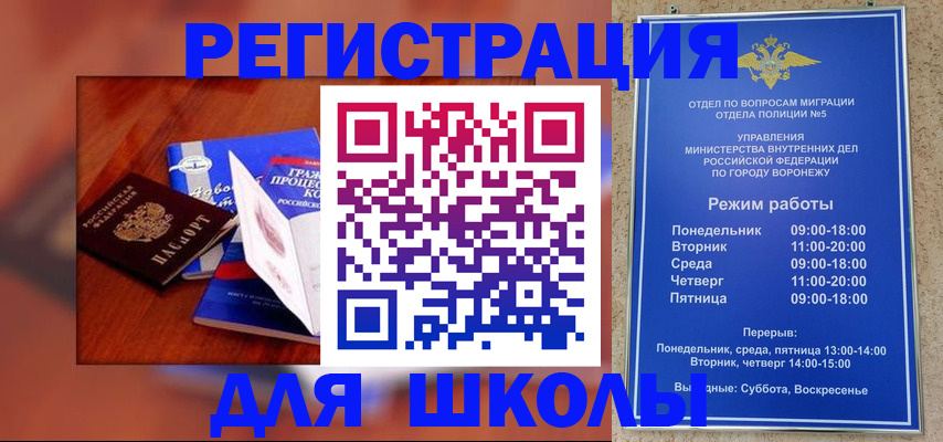 прописка для работы в Светлограде